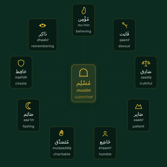 Visualization from The People Allah Called Muslim